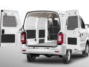 tera v cua sau tien dung