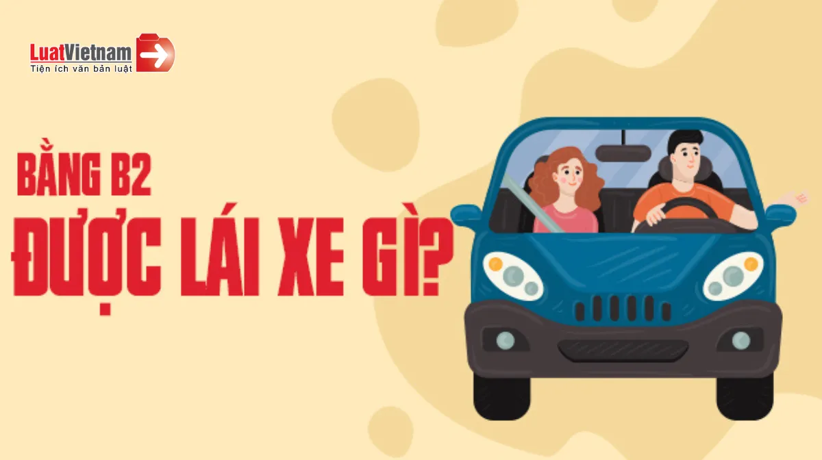 Bằng Lái Xe B2 Chạy Được Xe Gì? Tìm Hiểu Chi Tiết Loại Xe Được Phép Lái