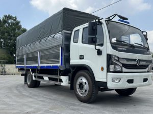 Đồng vàng D8 Lắp Ráp Trong Nước 2