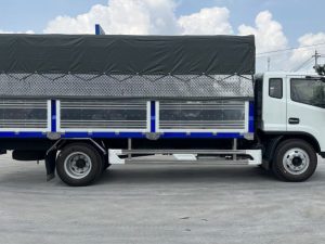 Đồng vàng D8 Lắp Ráp Trong Nước 2