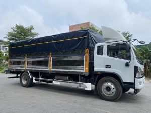 Đồng vàng D8 Nhập Khẩu 2