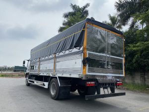 Đồng vàng D8 Nhập Khẩu 2