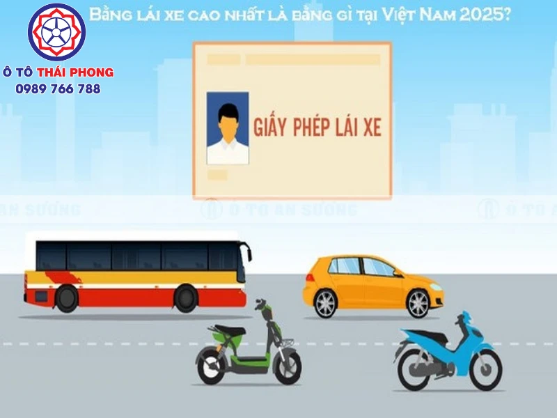 Tìm hiểu về bằng lái xe cao nhất hiện nay