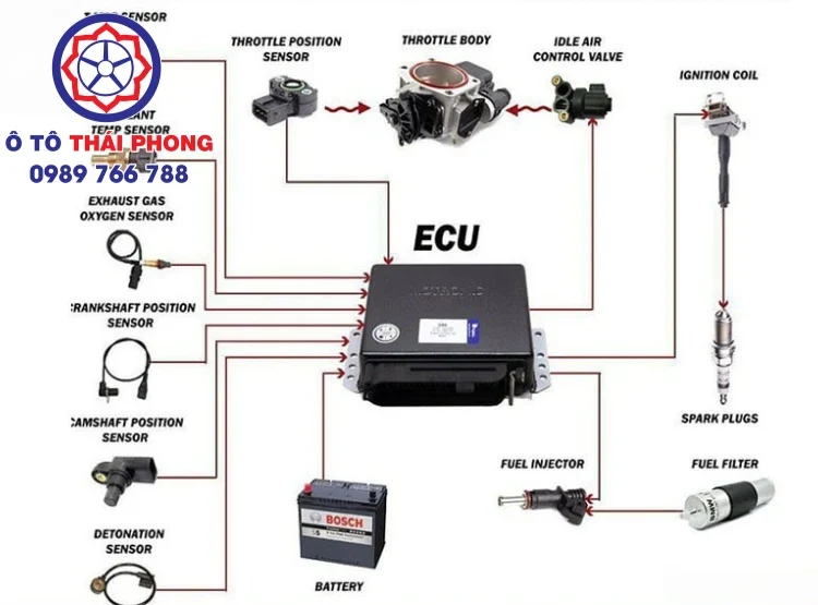 ECU ô tô là một tổ hợp vi mạch điện tử có khả năng tiếp nhận các dữ liệu, thông tin quan trọng của xe ECU ô tô là một tổ hợp vi mạch điện tử có khả năng tiếp nhận các dữ liệu, thông tin quan trọng của xe